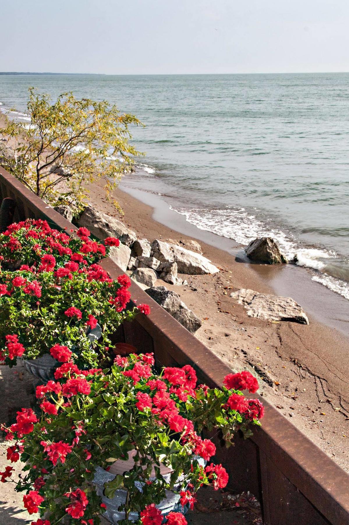 Point Pelee Lakeshore B&B Leamington Esterno foto